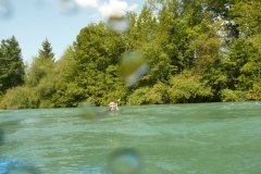 aare_10a_p1040561