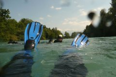 aare_10a_p1040563