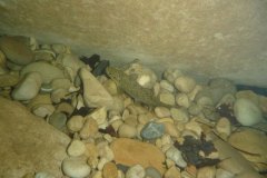 areuse_09_k1020405