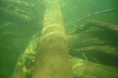 areuse_09_k1020418