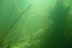 areuse_09_k1020427