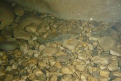 areuse_09_k1020520