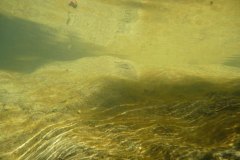 areuse_09_k1020994