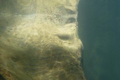 areuse_09_vk1020403