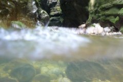 areuse_09_vk1020490