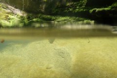 areuse_09_vk1020995