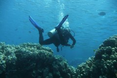 dahab_08u_p1030398