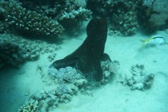 dahab_08u_p1030404