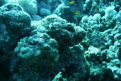 dahab_08u_p1030409