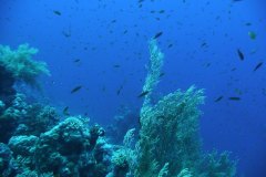 dahab_08u_p1030441