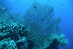 dahab_08u_p1030442