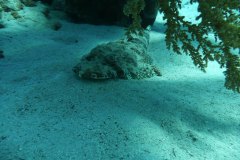 dahab_08u_p1030449