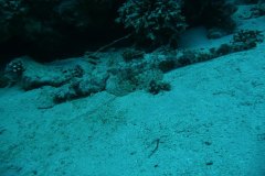 dahab_08u_p1030477