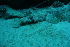 dahab_08u_p1030478