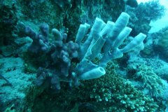 dahab_08u_p1030479