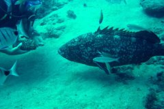 f_lanzarote_0017