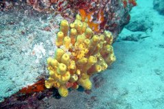 u_lanzarote_0076