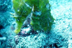 v_lanzarote_0191