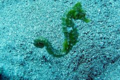v_lanzarote_0193
