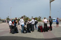 a_02_longimanus_0447
