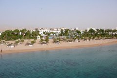 a_03_longimanus_0987