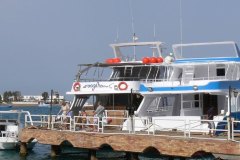 a_04_longimanus_0978