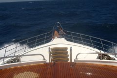 a_longimanus_0257