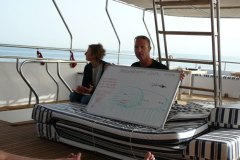 a_longimanus_0473