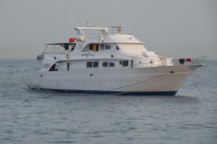 a_longimanus_0663