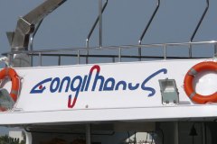 a_longimanus_0980