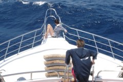 a_longimanus_1835