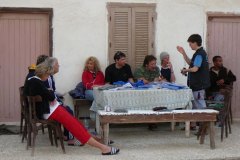 b_longimanus_0661