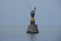 l_longimanus_0508