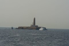 l_longimanus_0559