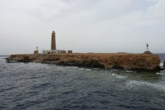 l_longimanus_0624
