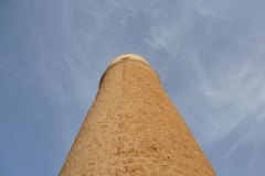 l_longimanus_0658