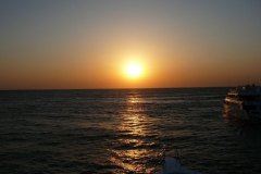 s_longimanus_0675