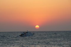 s_longimanus_0681