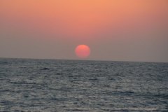 s_longimanus_0686