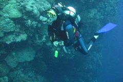 t_longimanus_0159