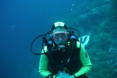 t_longimanus_0550