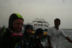 t_longimanus_0614