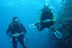 t_longimanus_1682