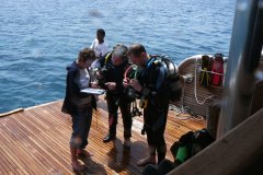 t_longimanus_461