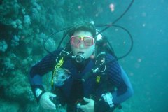t_longimanus_502