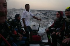 u_longimanus_0884