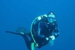 v_longimanus_0166