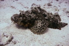 p1060040