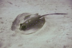 p1060052