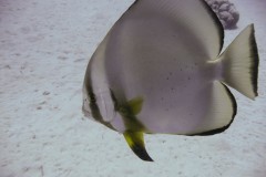 p1060136